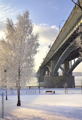 Michael's embankment in winter. The arches of the Oktyabrsky bridge, a birch tree on a snowy glade, are covered with frost