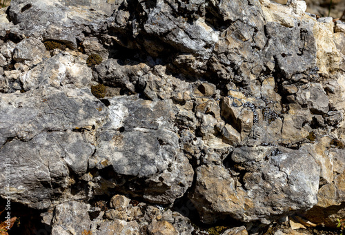 Rocky bed of a mountain river on the background of a mountain landscape.