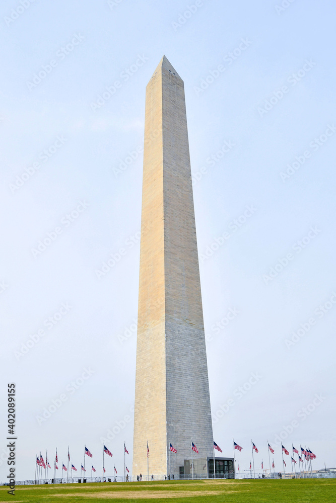 The Washington Monument obelisk encircled by American Flags in the national mall of Washington DC the capital of the United States of America.