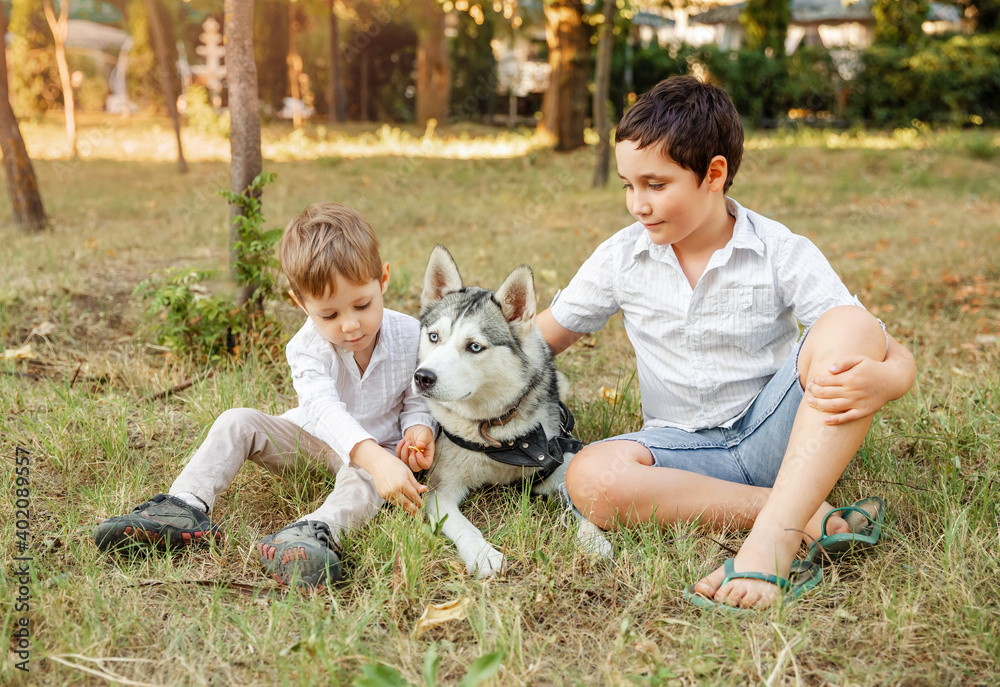Obraz premium Dog and funny kids enjoying together outdoors. Cute children with dog walking in the park on sunny summer day. Happy young boys lovingly hugging his pet dog at sunset. Veterinary medicine, animal care