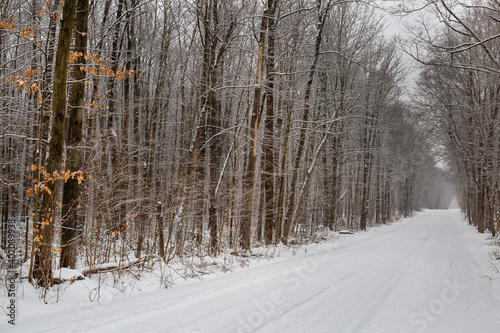 Beautiful winter road near Montreal, perspective photography.