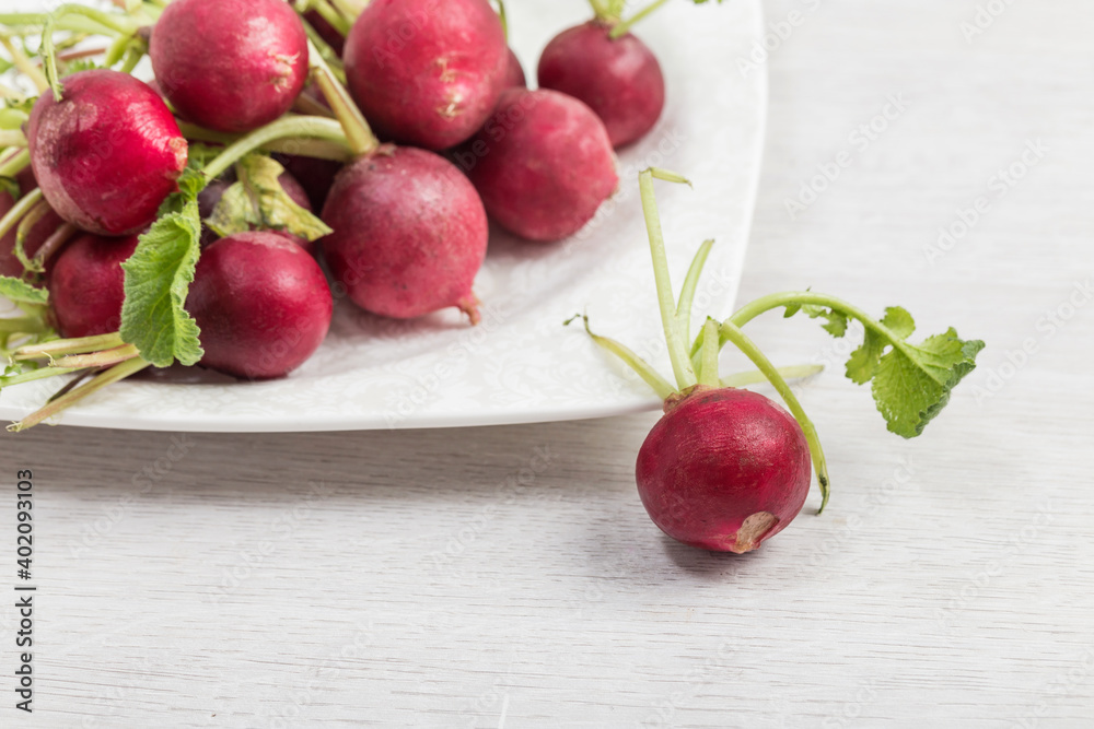Take a close up of fresh and delicious radishes Take a close up of fresh and delicious radishes