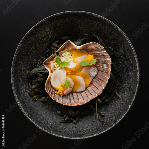 A top view of delicious Coquille Saint-Jacques, in a dark plate photo