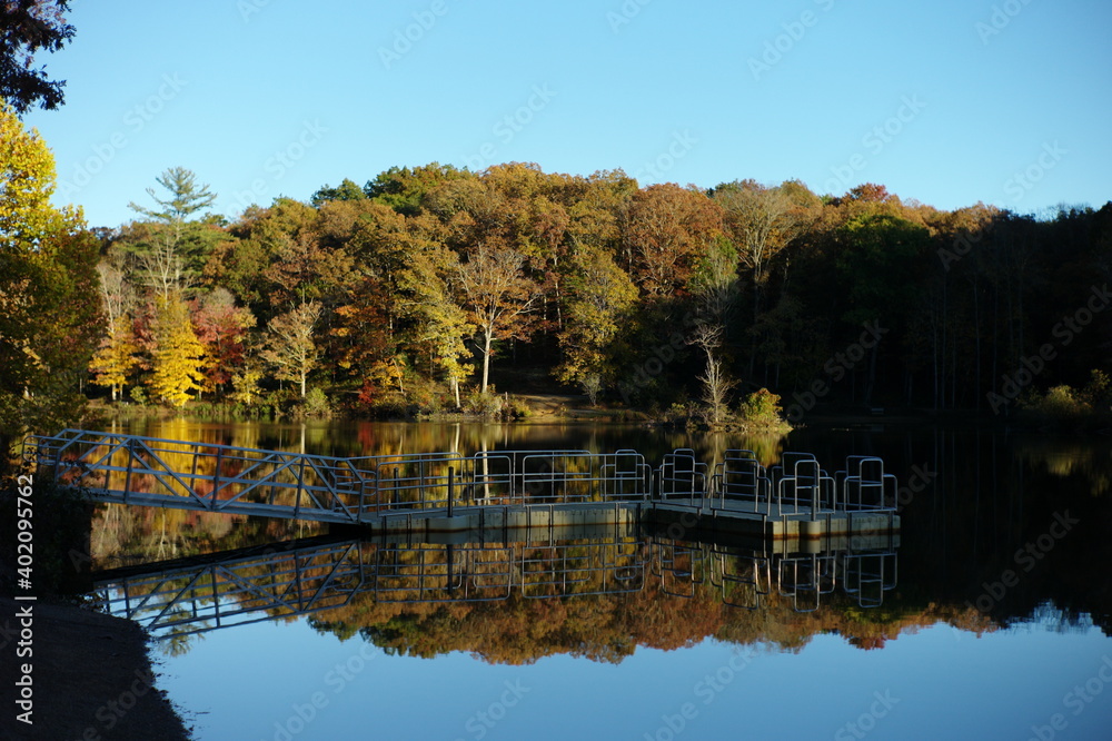 Fototapeta premium autumn in the park