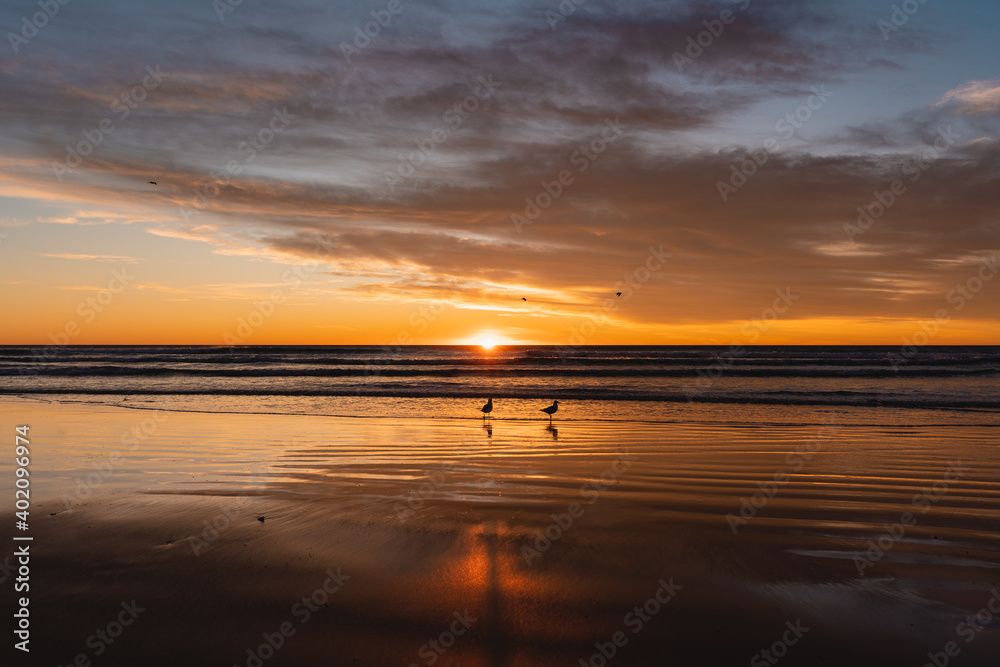 Two gulls standing on the sand with amazing view of sunrise by the beach
