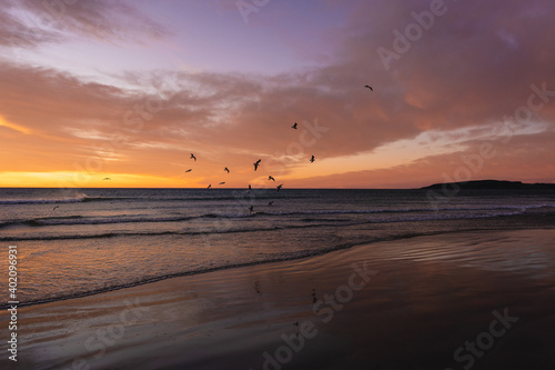 Romantic sunrise with birds flying above the waves