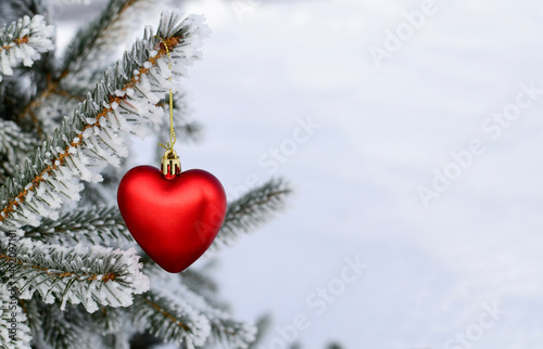 Christmas toy in shape of red heart hanging on branch of fir tree in frost, snow. Christmas tree in forest in snowdrift. Concept of New Year, Christmas, Valentine's Day, winter card with copyspace. © Geparda