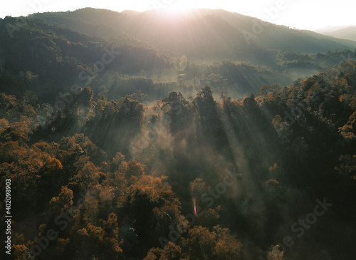 Foggy forest Morning light in the forest from above © artrachen