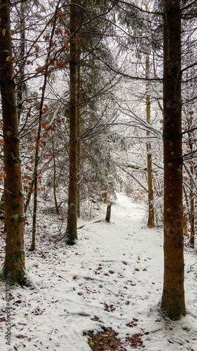 Oberes Donautal im Winter / Bei Beuron © Volker Loche