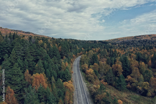 autumn road top view, landscape in autumn with drone