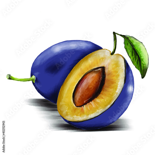 illustrazione del disegno a mano prugne prugne