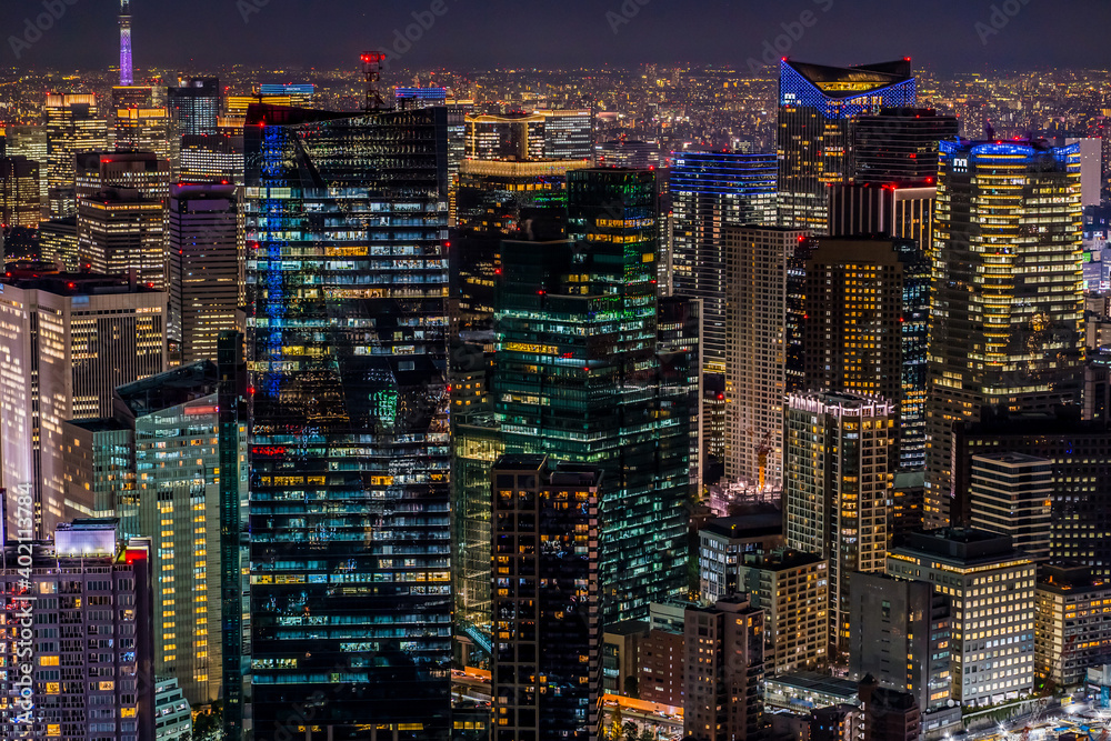 Obraz premium 東京の夜景。世界最大の巨大都市（六本木周辺の高層ビル群）