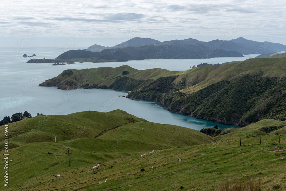 D'Urville Island viewed from the South Island across Current Bay. Grassed hills of a sheep farm in the foreground. Marlborough, New Zealand