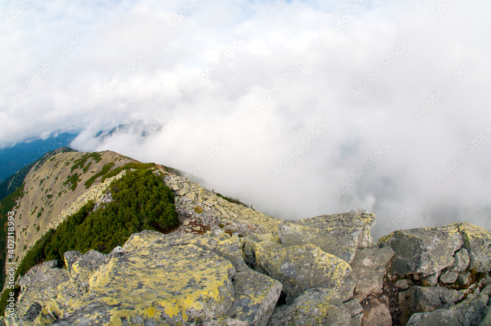 Panorama of rocky mountains with fog and green alpine pine Panorama of rocky mountains with fog and green alpine pine