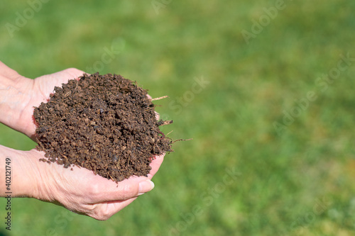Fresh compost in two hands with a green meadow