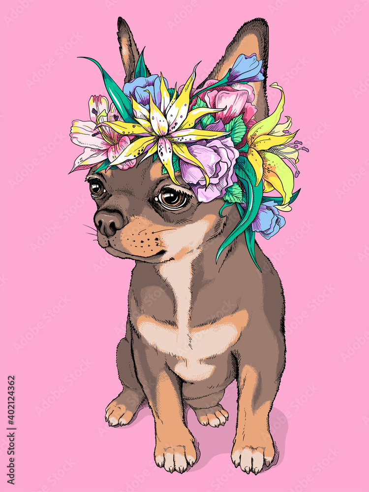 Plakat Śliczne chihuahua brązowy dziewczyna w wieniec kwiatów. Portret pięknego małego psa. Kompozycja wiosenna do nadruku na dowolnej powierzchni