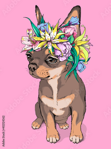Cute brown chihuahua girl in a flower wreath. Portrait of a beautiful small dog. Spring composition for printing on any surface