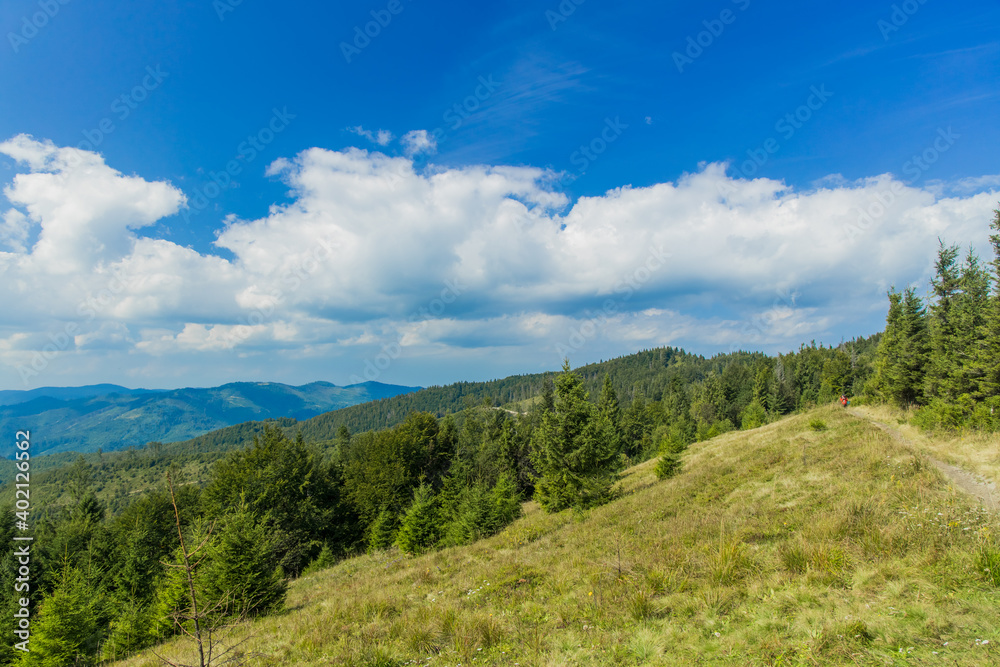 highland mountain ridge summer forest landscape of June clear weather day time natural environment space in Eastern Europe region