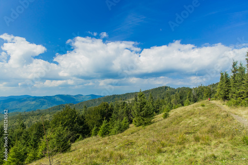 highland mountain ridge summer forest landscape of June clear weather day time natural environment space in Eastern Europe region