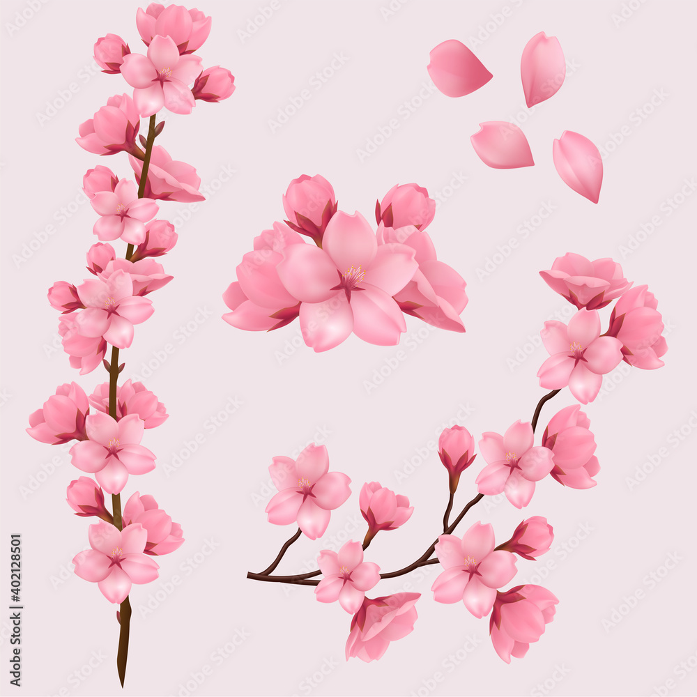 Spring sakura cherry blooming flowers, pink petals and branches vector set for your own design.Realistic set of beautiful sakura branches flowers and petals isolated on pink background. Eps 10