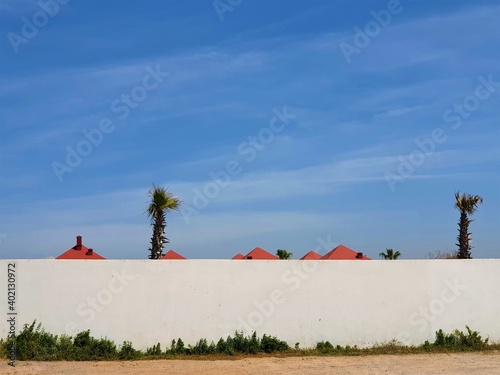 Wall Roofs Palm trees Morocco