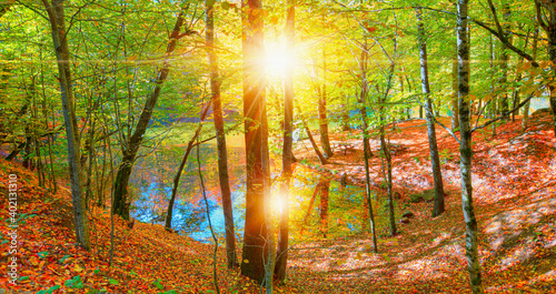 Autumn landscape in (seven lakes) Yedigoller Park Bolu, Turkey © muratart