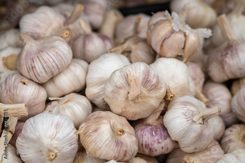 fresh dry garlic sold at the city market