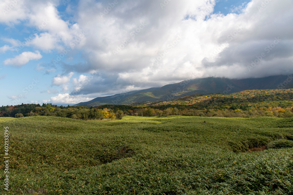 北海道　知床国立公園　知床五湖