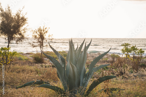 Sunset at Cyprus