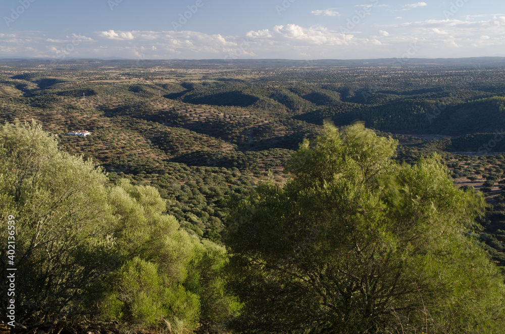 Mediterranean forest in the Monfrague National Park. Caceres. Extremadura. Spain.