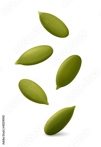 Falling five pumpkin seeds without husk in the air. Isolated on white background. Realistic vector illustration.