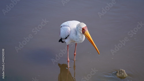 Ngorongoro Crater
