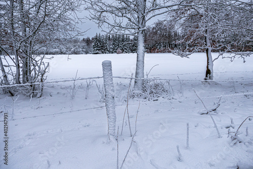 Winterlandschaft im Hohen Venn bei Monschau Mützenich in der Eifel photo