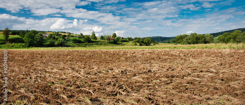 Widok na pole upraw na wsi