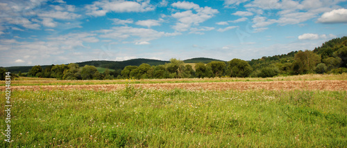 Widok na Bieszczady za polami i łąkami