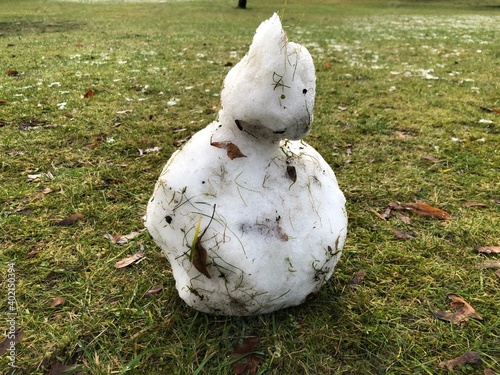 snowman on the grass
