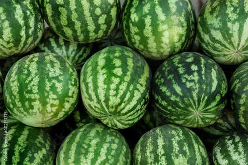 Delicious ripe watermelons as background, top view