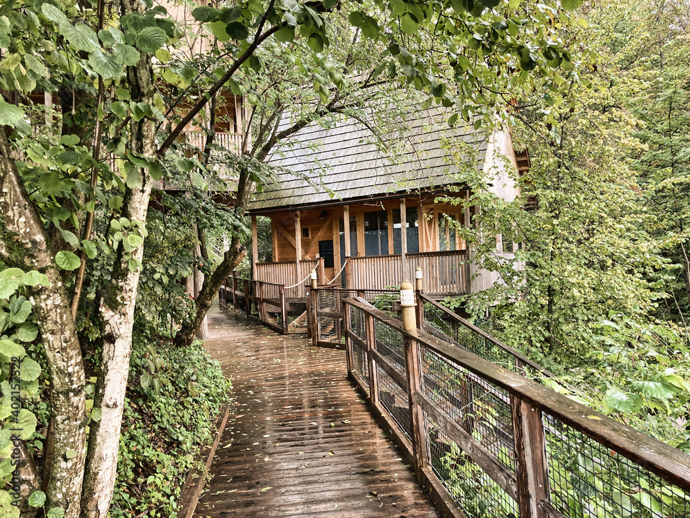 Baumhaus im Wald Baumhaus im Wald