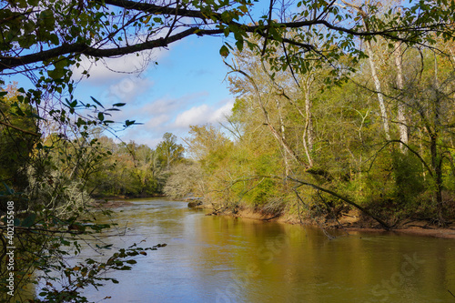 A bend in the Neuse River off of the greenway surrounded by green trees under a blue sky in autumn