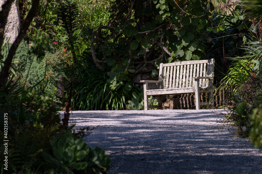 bench in the park