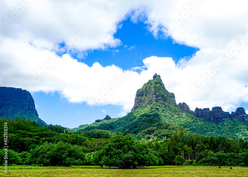 French Polynesia  landscape of the Moorea island.