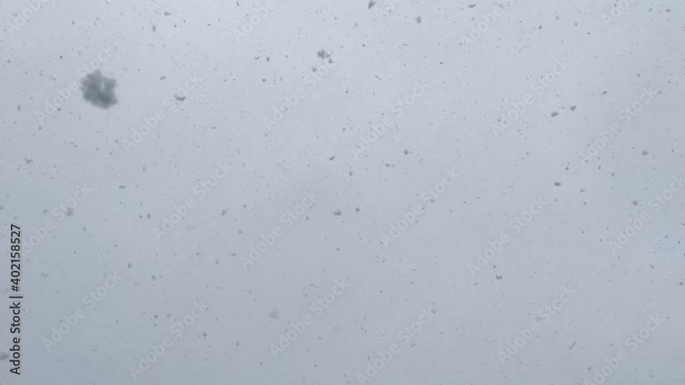 snow falls snow falls