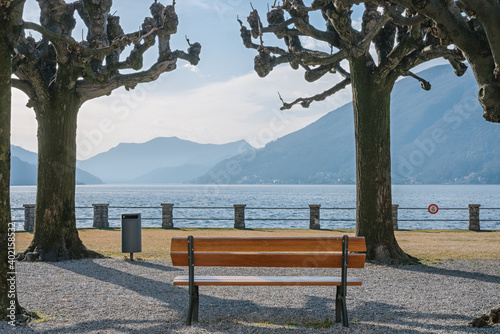 Red bench among plane trees overlooking Lake Ceresio in Bissone near Lugano on a sunny winter day. Canton Ticino. Switzerland photo