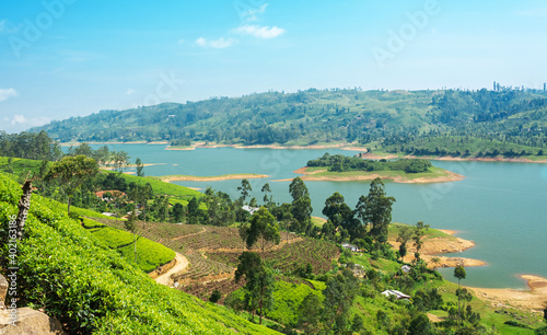 Lake panoramic view over a greenish tea estate