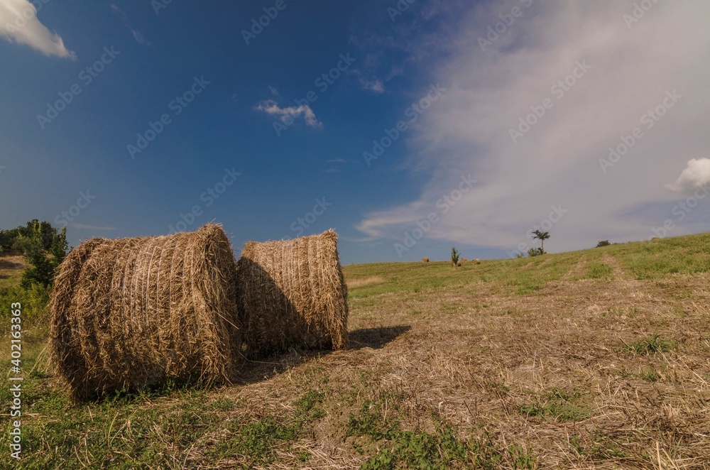 Countryside landscape with round bales of hay in the foreground