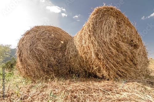 Countryside landscape with round bales of hay in the foreground