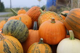 pumpkin, autumn, orange, halloween, fall, vegetable, pumpkins, food, harvest, squash, thanksgiving, gourd, seasonal, fruit, isolated, season, holiday, decoration, vegetables, yellow, white, agricultur