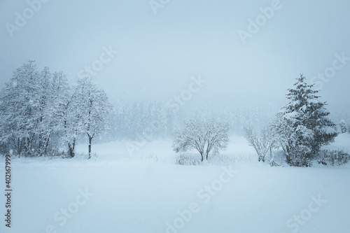 Winter Nebel Landschaft