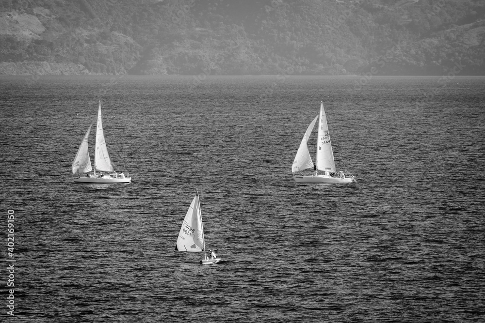 Sailing in monochrome