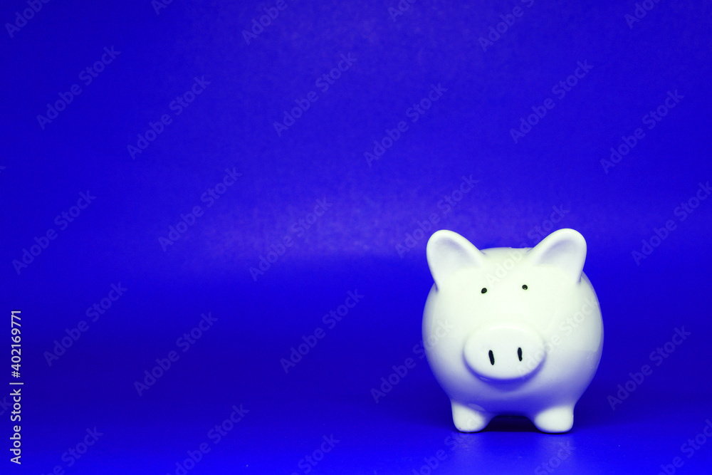 White Piggy bank on Blue background with copy space for text message - Fund , Investment , Saving money - Blue pattern of Banking and Stable financial concept White Piggy bank on Blue background with copy space for text message - Fund , Investment , Saving money - Blue pattern of Banking and Stable financial concept